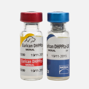 Вакцина dhppi2. Эурикан DHPPI. Вакцина Эурикан dhppi2-LR. Эурикан dhppi2 вакцина для собак. Эурикан LR И dhppi2.