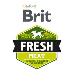 brit_fresh-meat